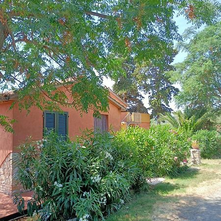 Il Giogo Agriturismo Rosignano Marittimo Eksteriør bilde