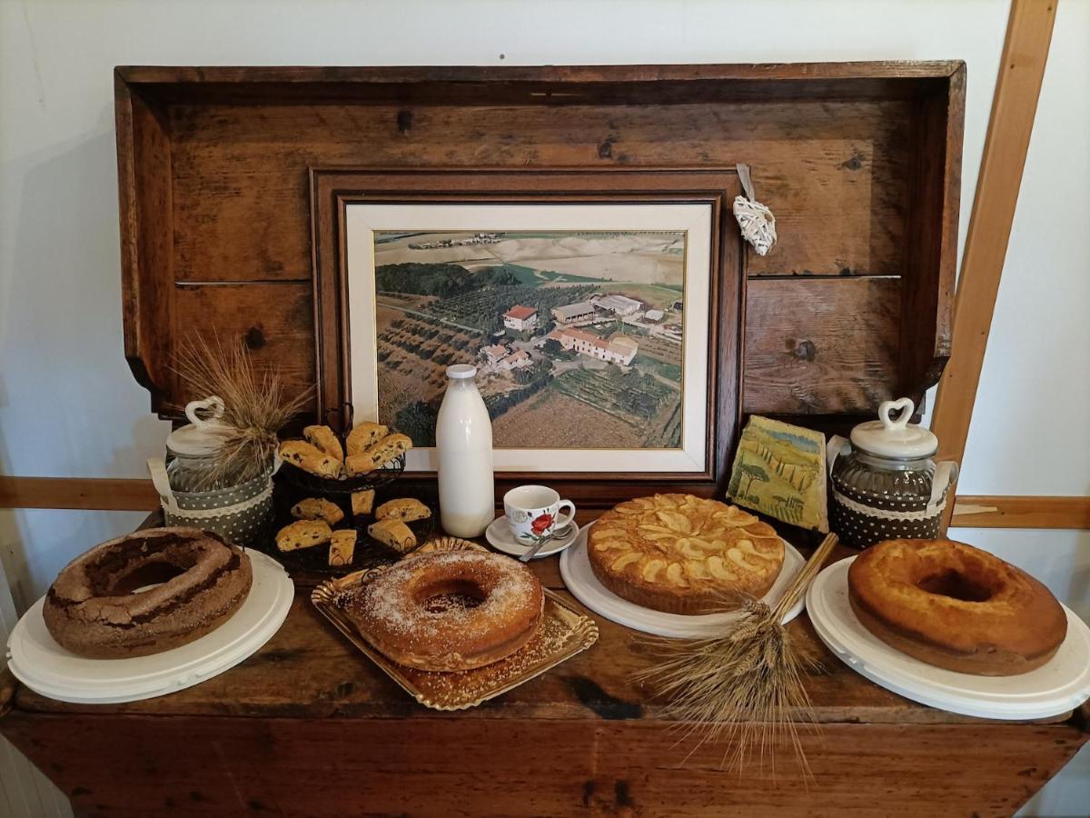 Il Giogo Agriturismo Rosignano Marittimo Eksteriør bilde