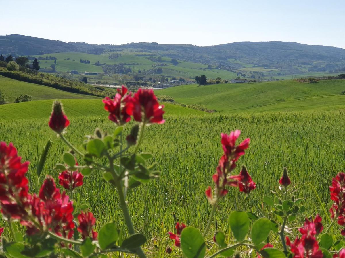 Il Giogo Agriturismo Villa Rosignano Marittimo Eksteriør bilde