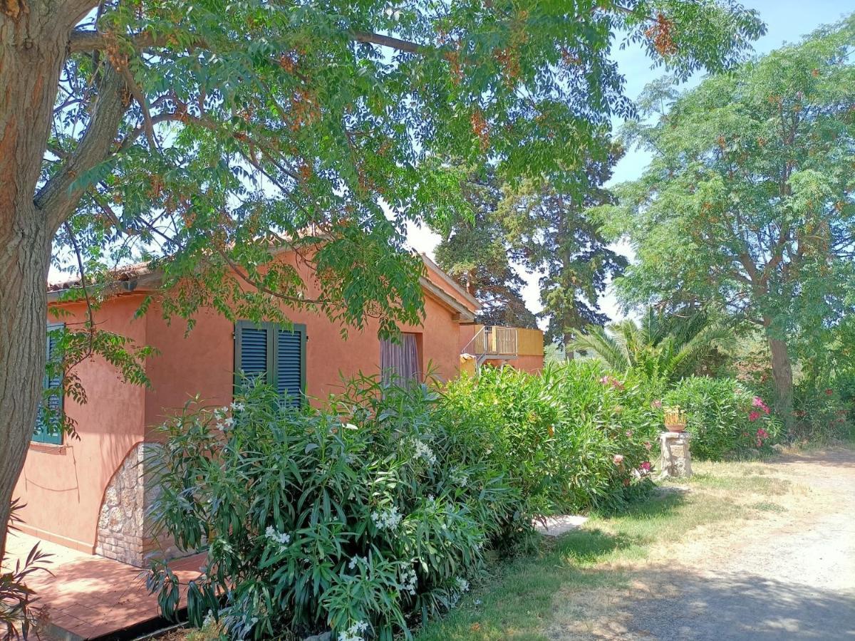 Il Giogo Agriturismo Rosignano Marittimo Eksteriør bilde