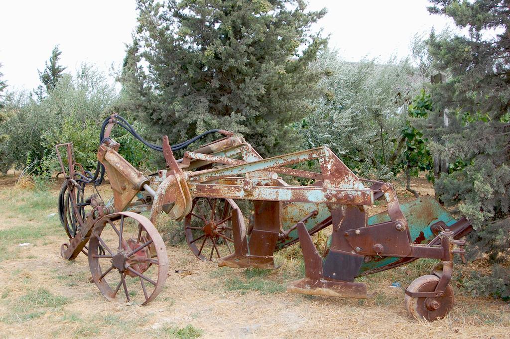 Il Giogo Agriturismo Rosignano Marittimo Eksteriør bilde