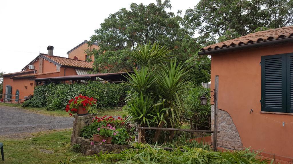 Il Giogo Agriturismo Rosignano Marittimo Eksteriør bilde