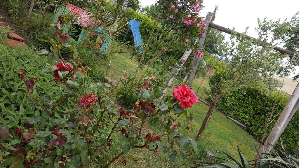 Il Giogo Agriturismo Rosignano Marittimo Eksteriør bilde