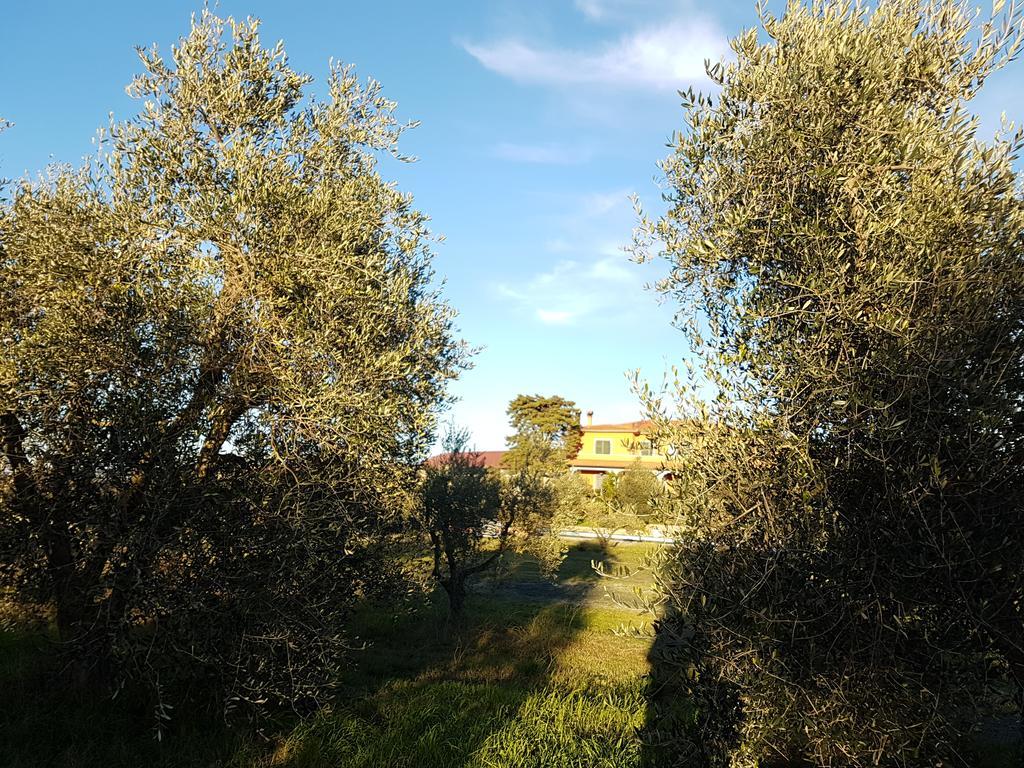 Il Giogo Agriturismo Rosignano Marittimo Eksteriør bilde